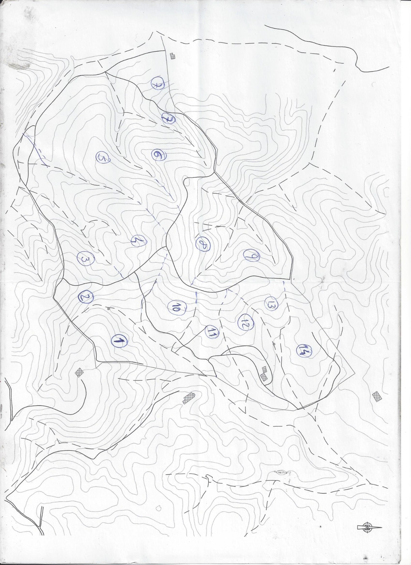 (3)